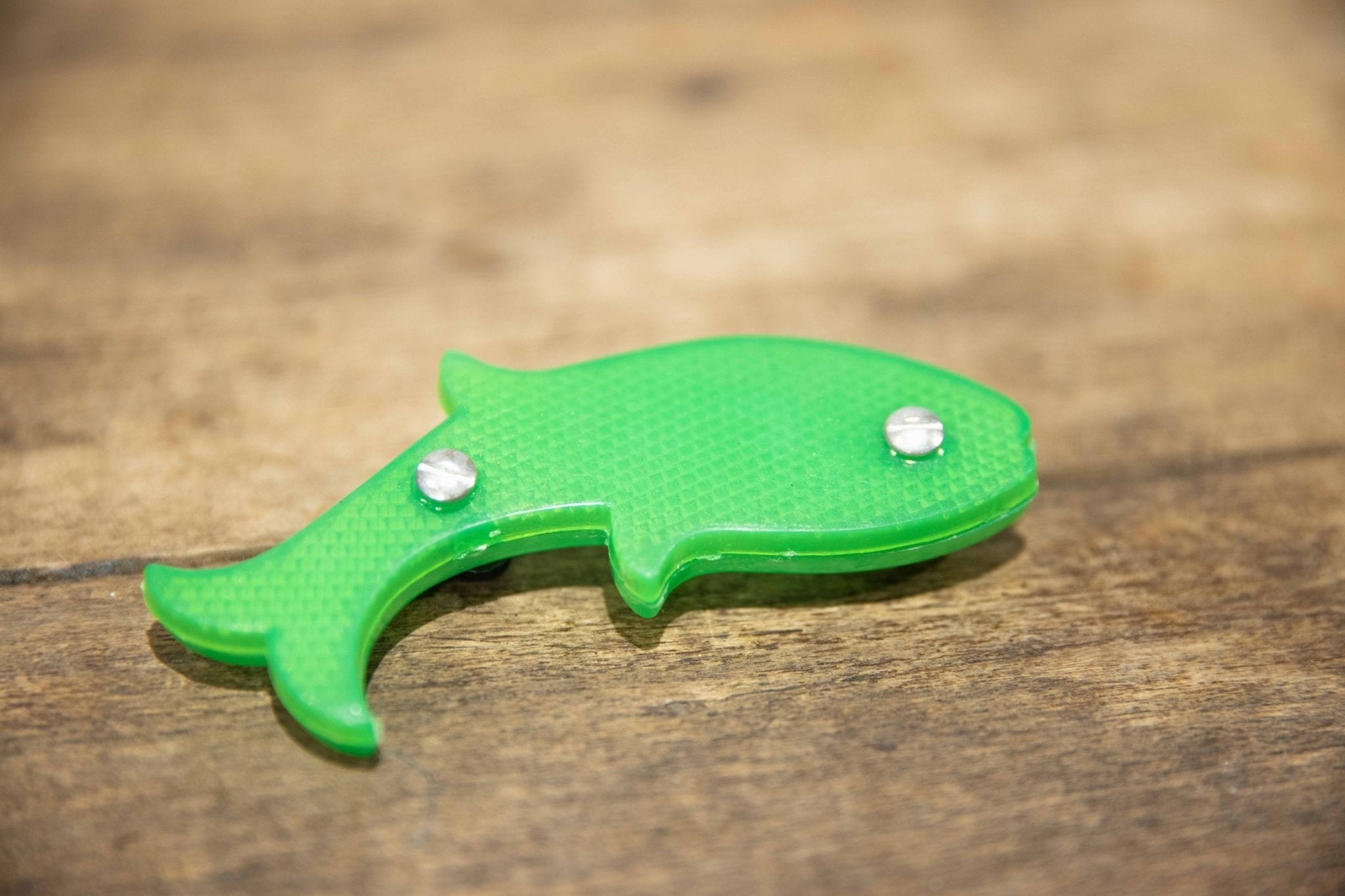 Décoration de Vélo Baik POISSON - VERT