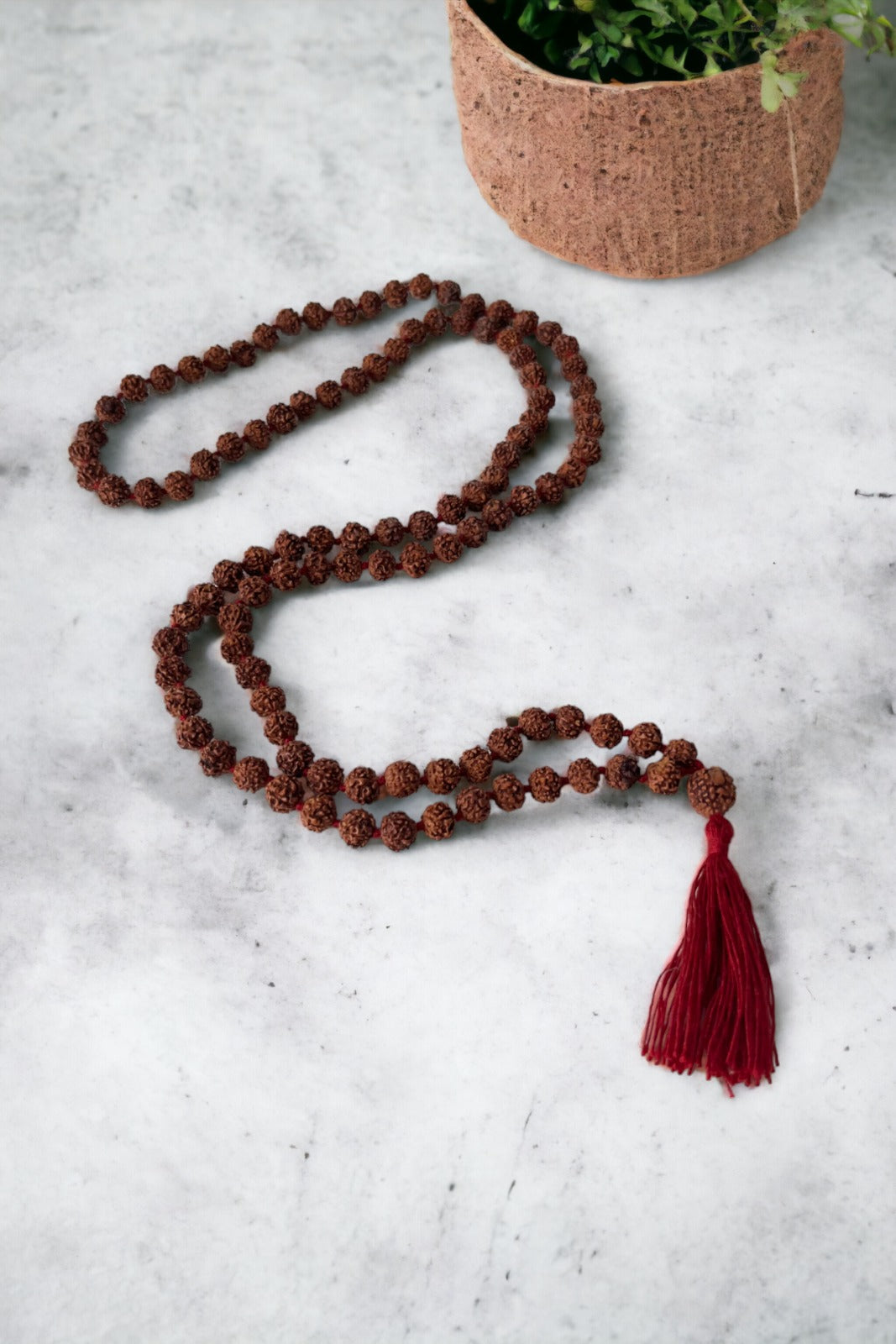 Mala graines de Rudraksha