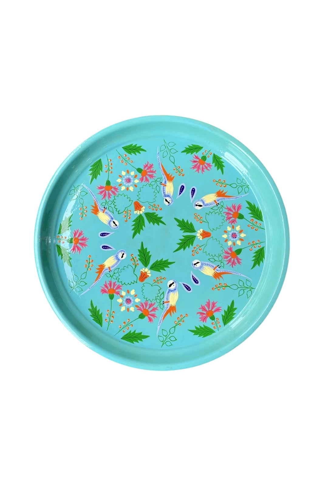 Plateau Srinagar PARROT TURQUOISE