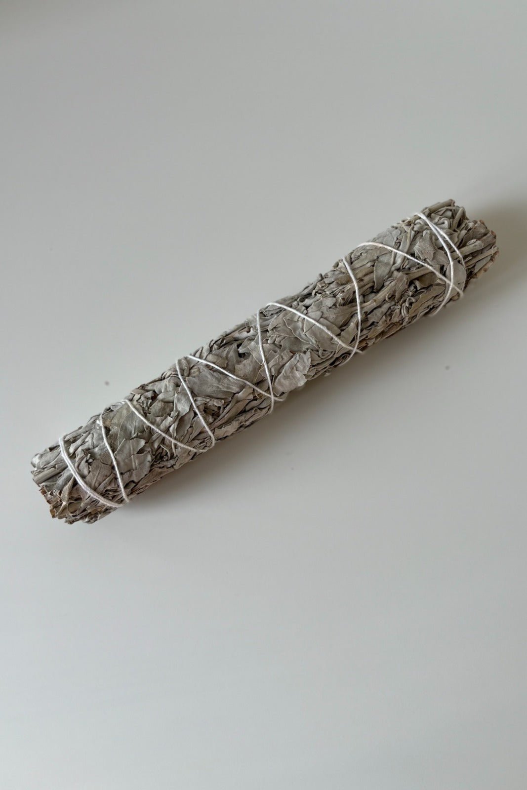 Bâton de sauge blanche - Curiosity Lab